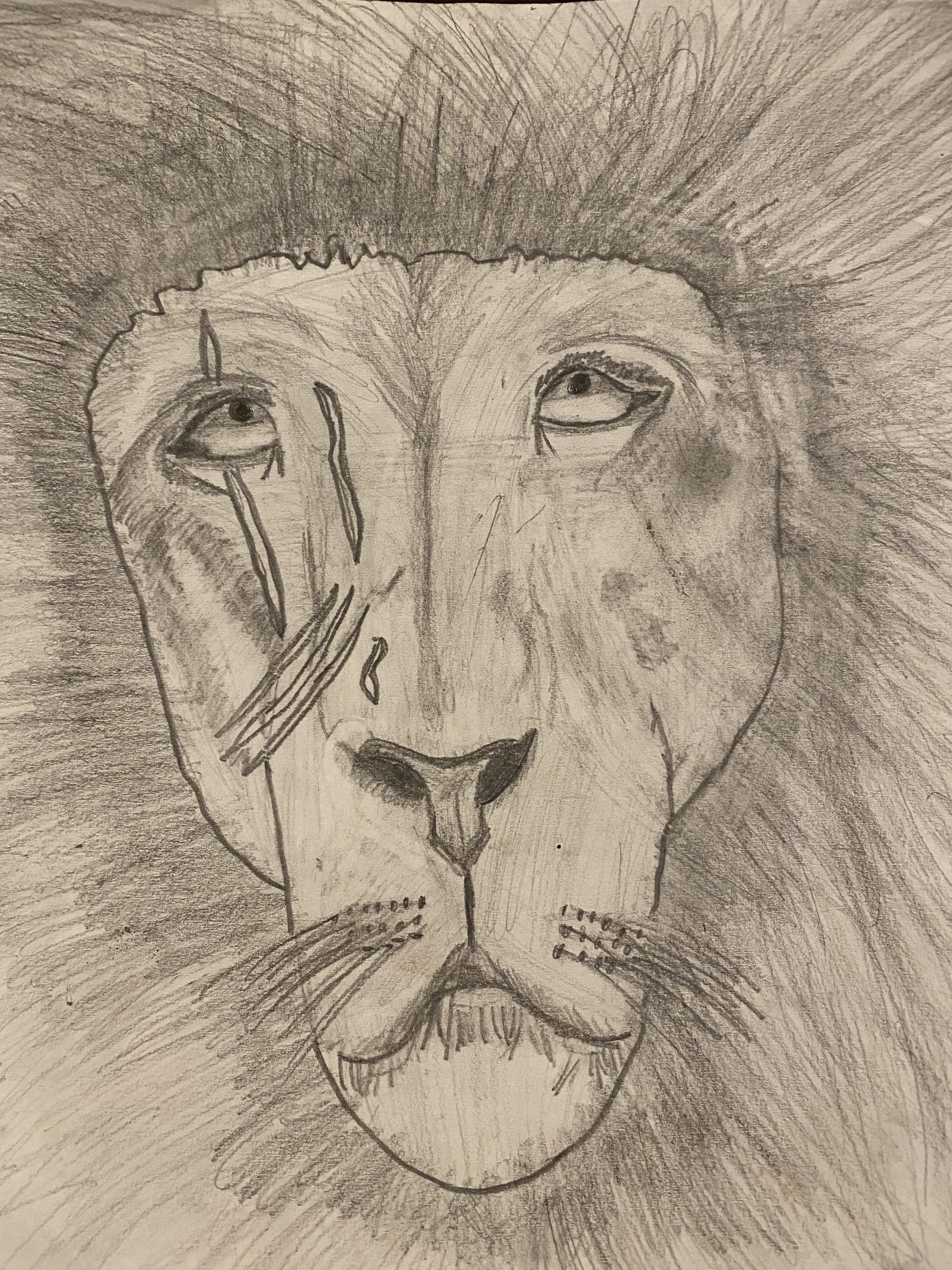 Sketch